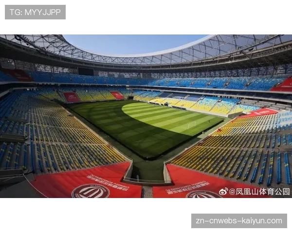 成都凤凰山球场响起“雄起”口号,分贝测试创赛季新高 成都凤凰山球场响起“雄起”口号,分贝测试创赛季新高